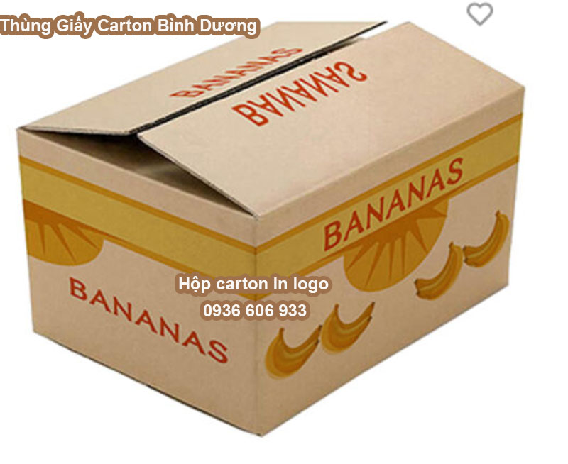 Hộp carton in logo