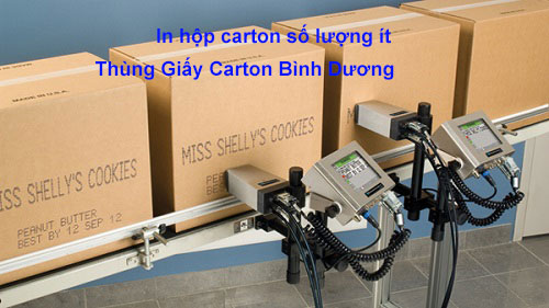 In hộp carton số lượng ít