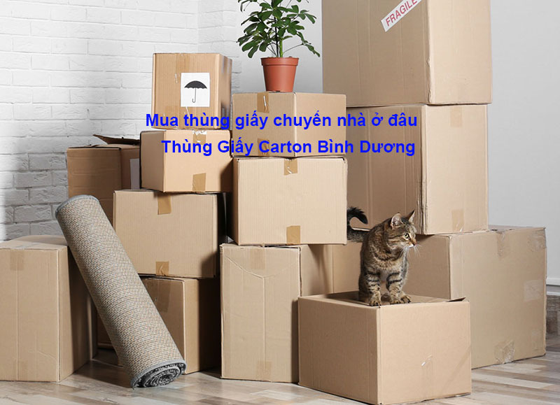 Mua thùng giấy chuyển nhà ở đâu