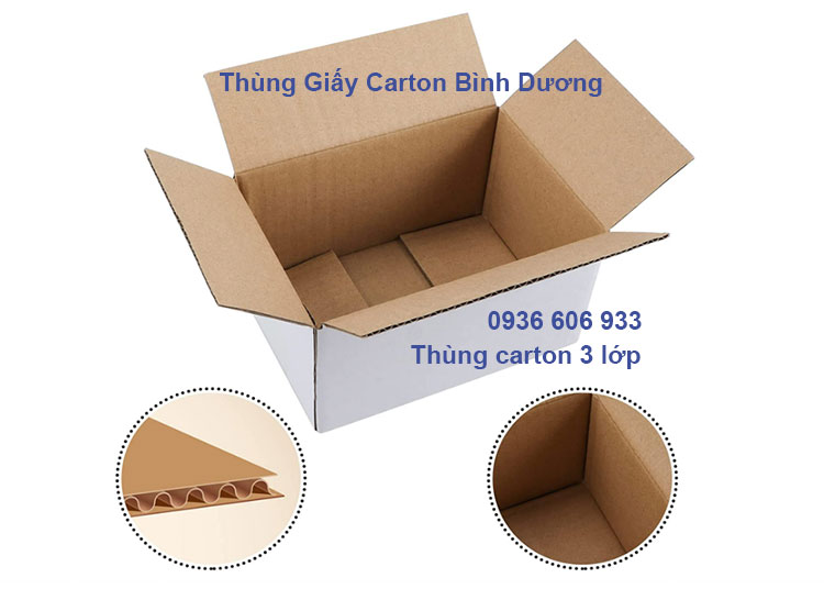 Thùng carton 3 lớp