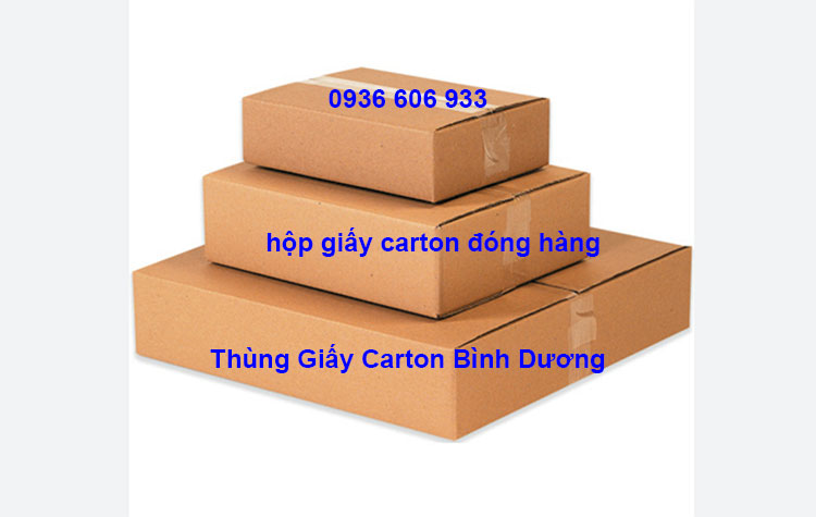 Hộp giấy carton đóng hàng