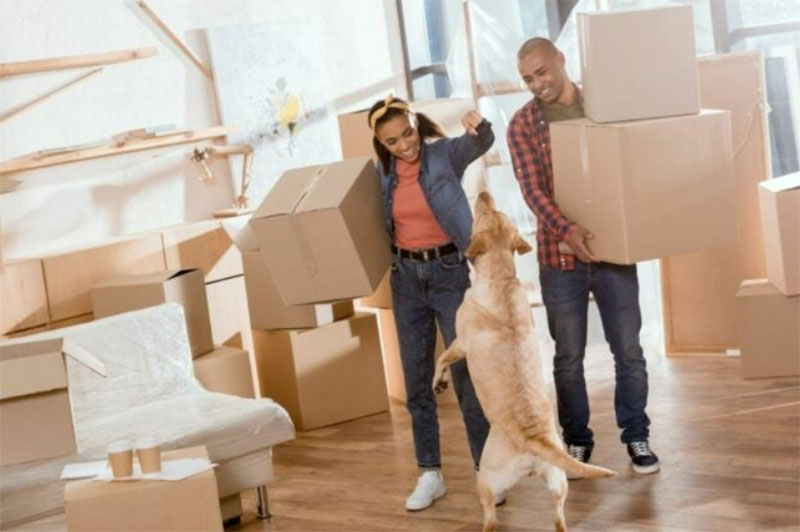 Đóng thùng carton theo yêu cầu