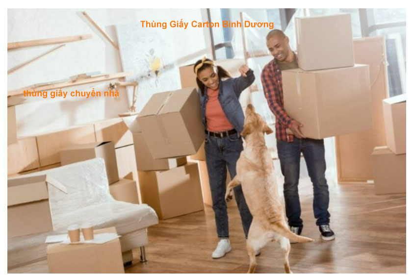 Mua thùng giấy chuyển nhà