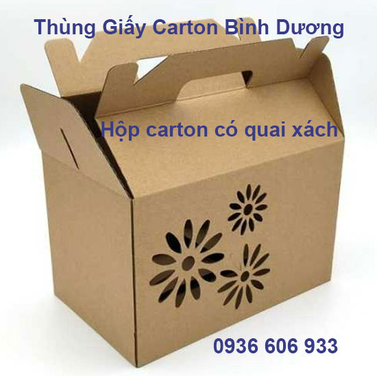 Hộp carton có quai xách
