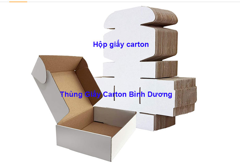 Hộp giấy carton
