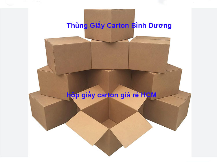 hộp giấy carton giá rẻ HCM