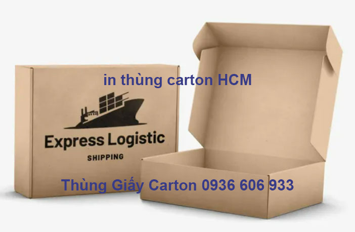 in thùng carton HCM