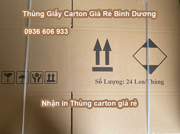 Nhận in Thùng carton giá rẻ